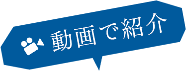 動画で紹介